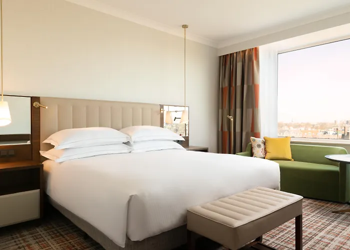 Amsterdam Dog Friendly Lodging and Hotels