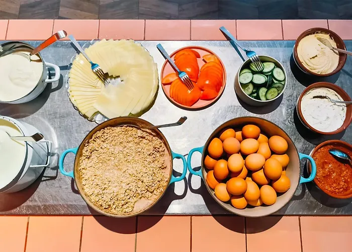 Pet friendly The Green Elephant Hostel & Spa Maastricht